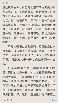 菲律宾结婚签证可以上班吗(婚签工作攻略)